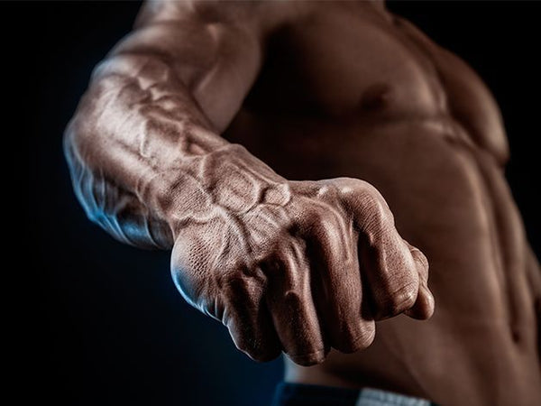 EJERCITADOR ANTEBRAZOS Y AGARRE HANDGRIP® + ENVÍO GRATIS